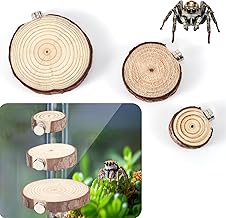 3pcs Jumping Spider Enclosure Ledges, Magnetic Jumping Spider Enclosure Ledges Jumping Spider Habitat Jumping Spider Enclosure Accessories (Round)