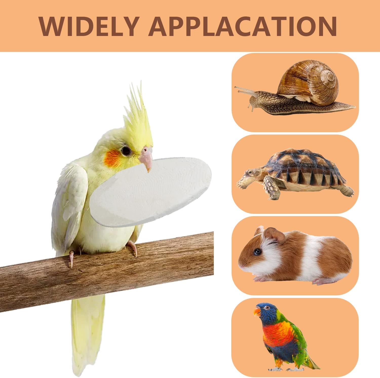 Jmxu's Cuttlebone for Birds, Natural Bird Calcium for Parakeet Cuddle Bone for Cockatiels Tortoise, 4.5 to 5.5 inch