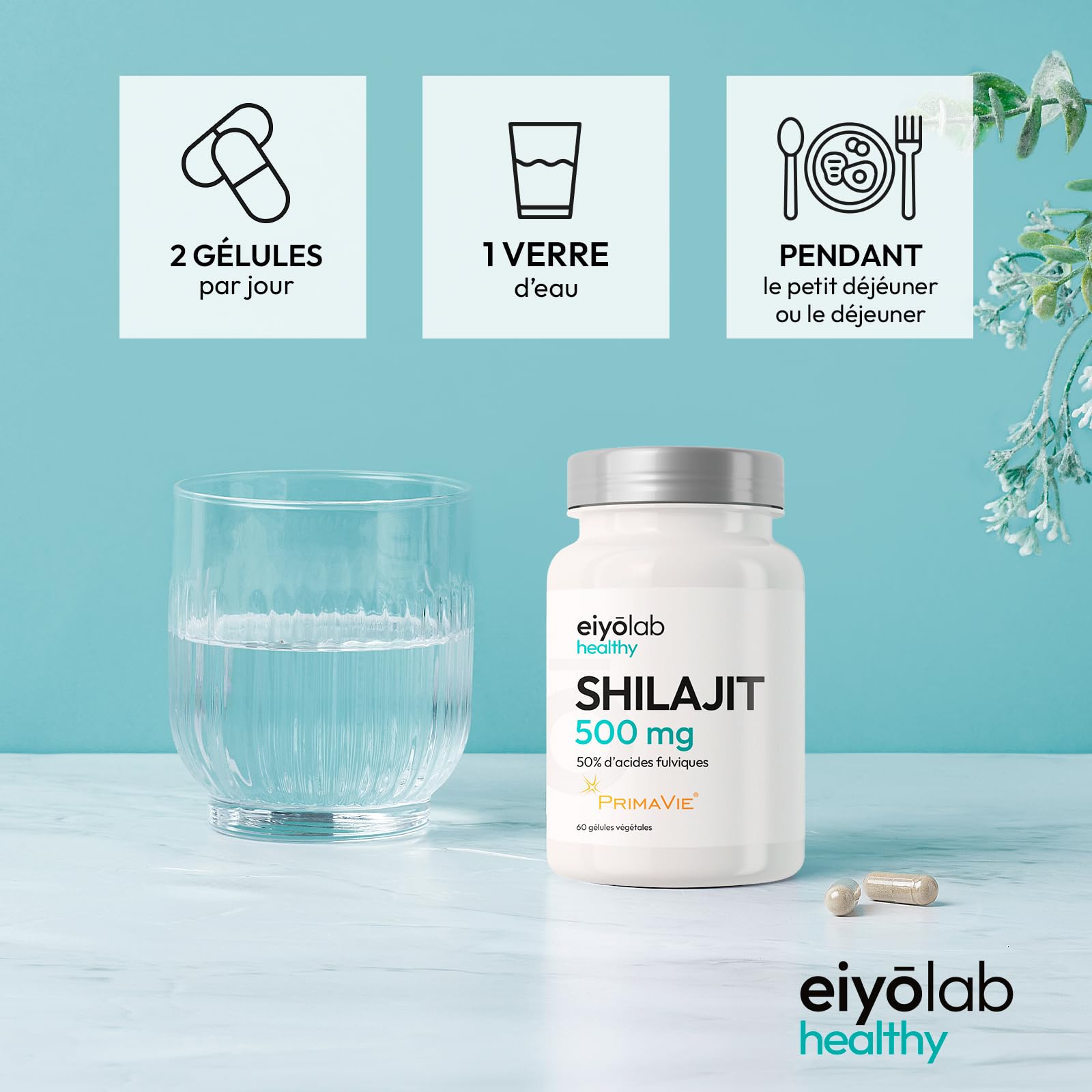 Shilajit Breveté PRIMAVIE® | Extrait Pur en Gélules | Immunité, Musculation et Articulations | Riche en Acide Fulvique (50%) et en Acide Humique (10%) | 60 Gélules Végétales | Eiyolab