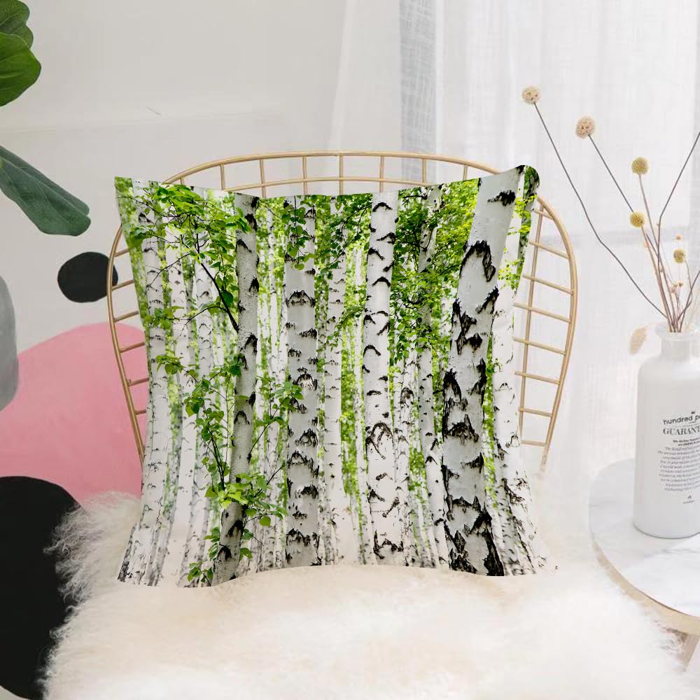HYMSXW Cushion Cover,Throw Pillow Case Home Decorative for Living Room Bedroom Sofa Chair 20X20 Inch,Birch Trees in The Forest Summertime Wildlife Nature Themed ating Picture,Blue,Pillowcase 50X50cm