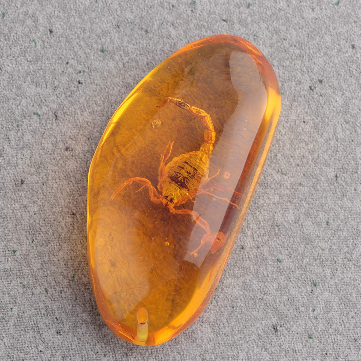 Lot De 5 Pendentifs Ambre Avec Insectes – Résine Fossile, Trous Pour Bijoux DIY, Collection Éducative FAVOMOTO