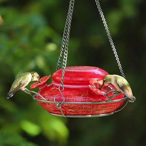 Miniatura 8 de Natures Way Bird Products MHF4 - Comedero de colibríes soplado a mano capacidad de 16 onzas rojo