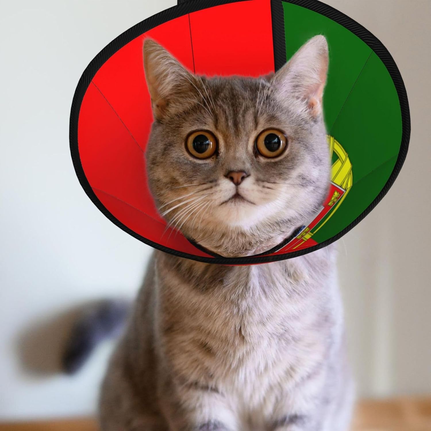Custom Pet Cones - Unique Design Cat & Dog Cone, Collar for Post-Surgery Recovery, Adjustable Neck Portuguese Flag Medium