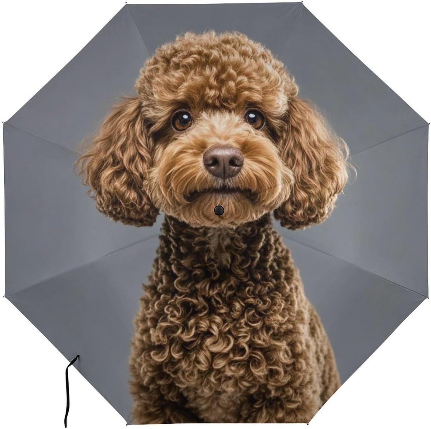 Brown Poodle Golf Umbrellas-2 Fold Automatic,Windproof Umbrella with Portable,Strong,Folding Umbrella for Women Men