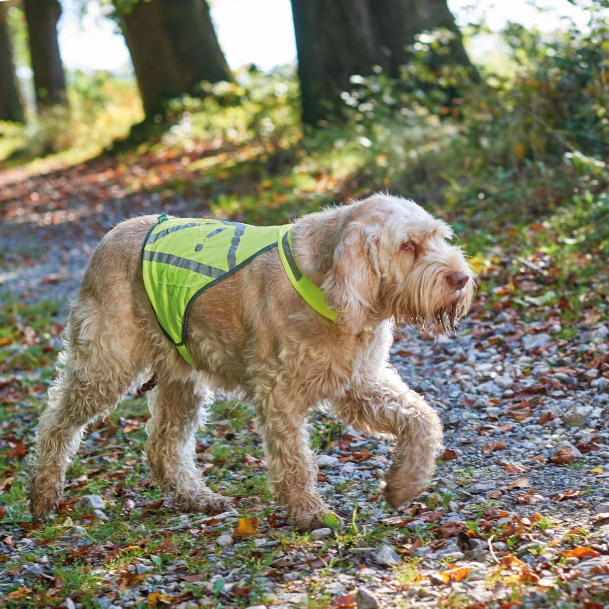 HUNTER Warnweste für Hunde, vielseitig einstzbar, höhere Sichtbarkeit, stufenlos verstellbar, wasser- und schmutzabweisend, waschbar, Größe: M
