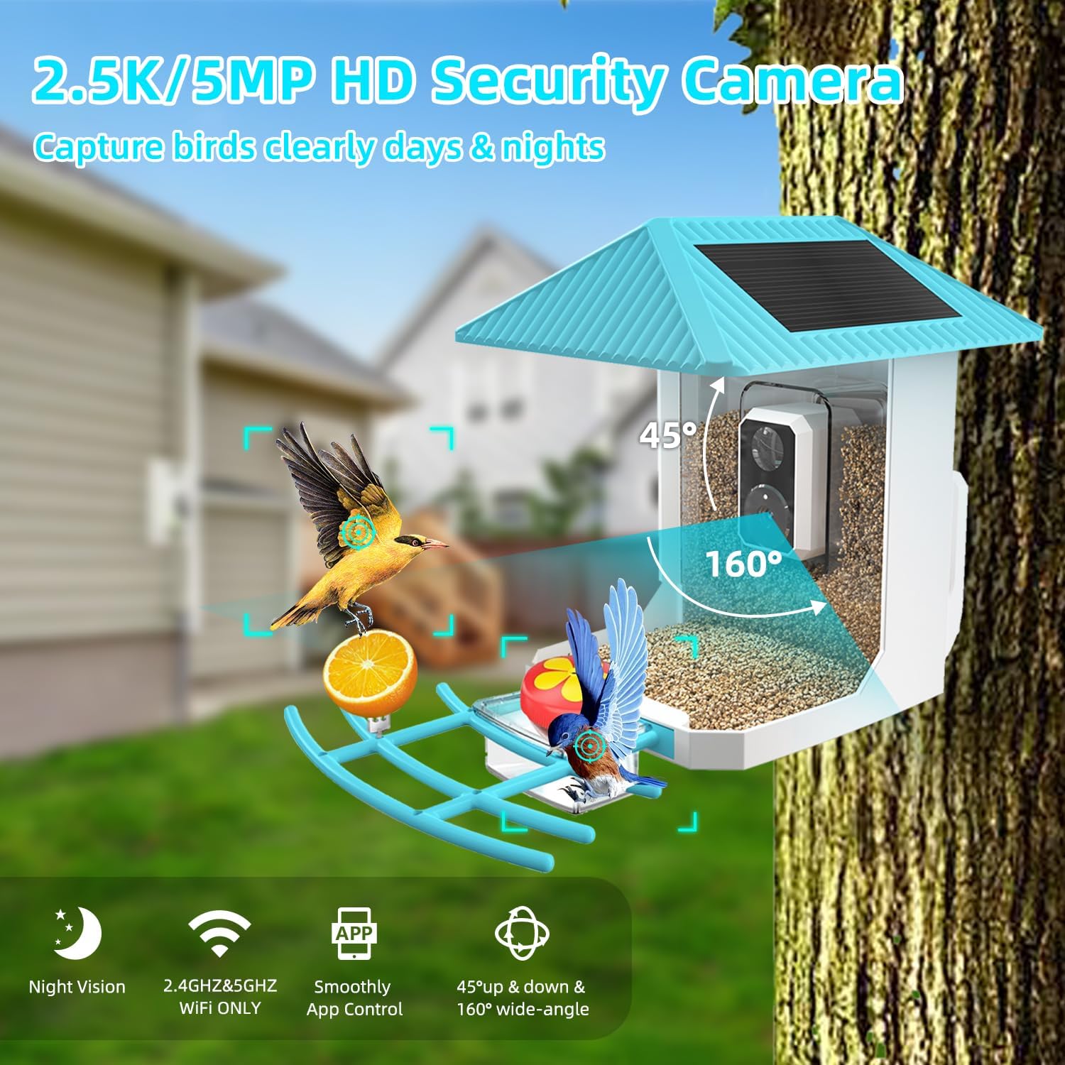 2.5K Smart Bird Feeder with Camera, Bird Watching Camera with Solar Panel, AI Identify, Auto Capture, Instant Notifications, 2.4GHz, IP65, Ideal Gifts for Family