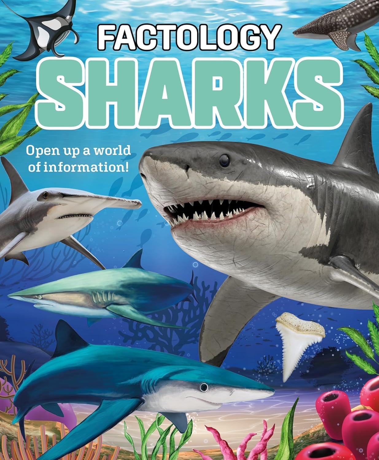 Factology: Sharks: Open Up a World of Information!