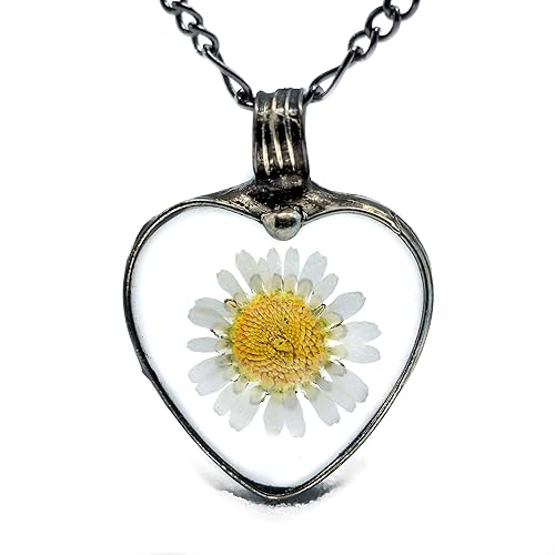 Amazon Com Pressed Flower Necklace Large Real Daisy Heart Jewelry Glass Not Resin Wont Yellow Handmade Pendant 2553f Handmade Products