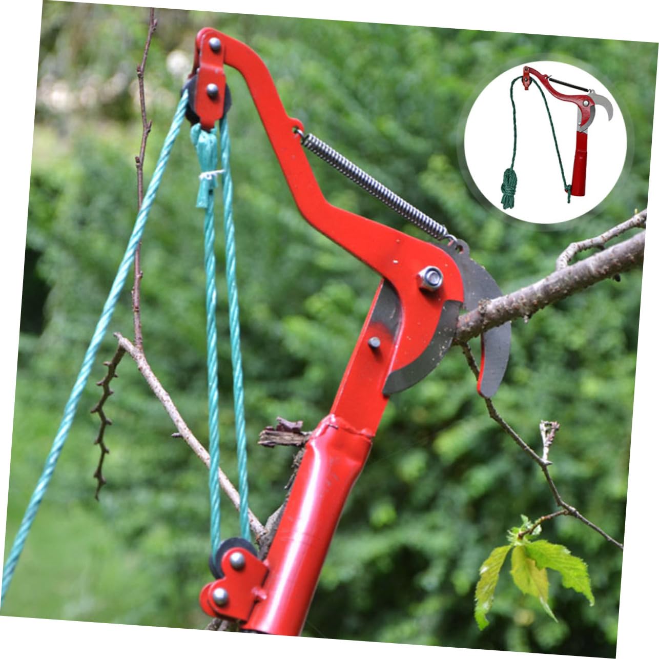 Abaodam 2stücke Bauschere Astschere Gartenschere mit Blumenschere und Stielschneider für Gartenarbeiten Obstbaumschneiden und Pflanzenpflege