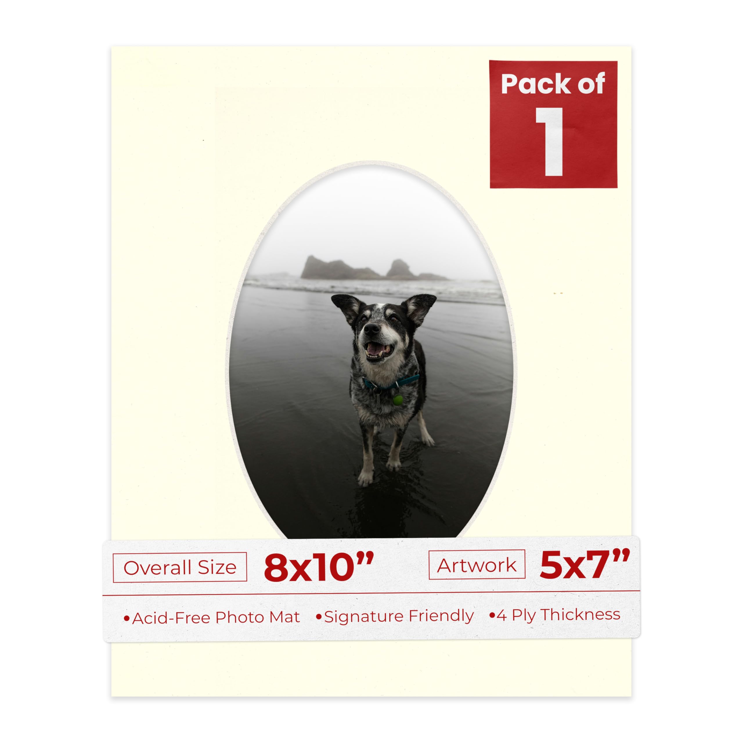 8x10 Mat Bevel Cut for 5x7 Photos - Precut Textured Cream Oval Shaped Photo Mat Board Opening - Acid Free Matte to Protect Your Pictures - Bevel Cut for Family Photos, Pack of 1 Matboard-image-45