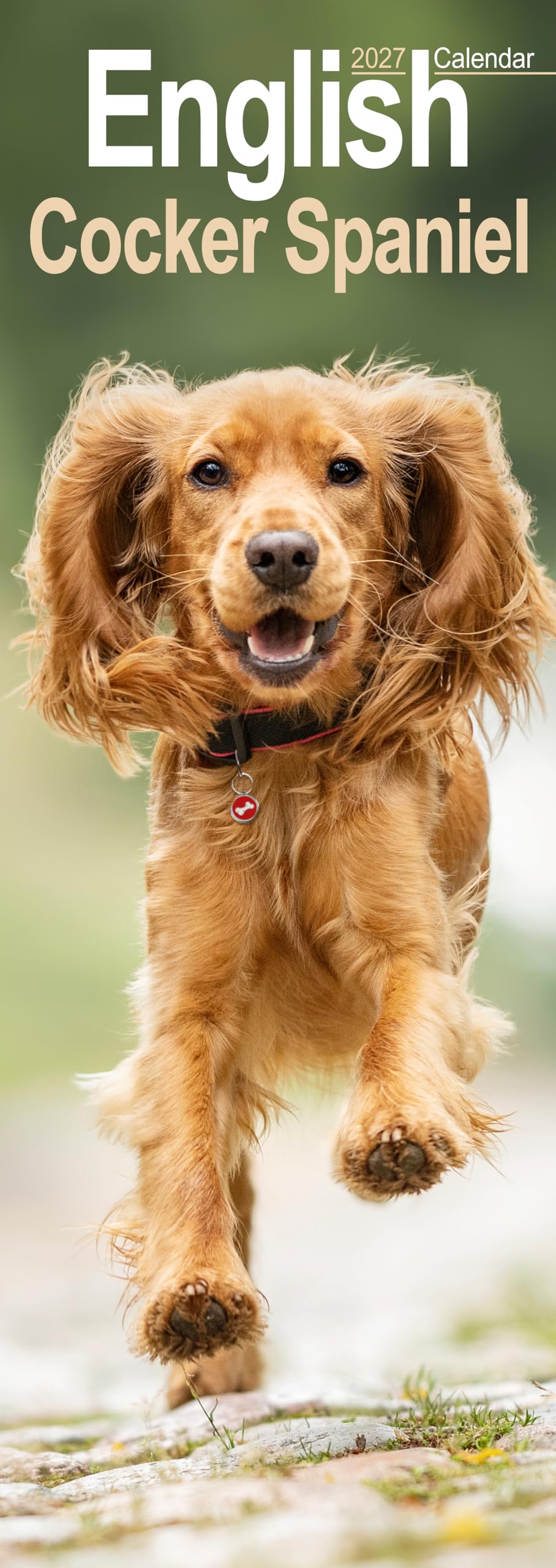 English Cocker Spaniel 2027 Slim Month To View Wall Calendar
