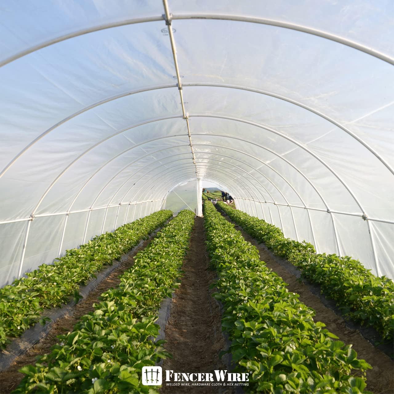 Fencer Wire 6 mil Clear Greenhouse Plastic Sheeting UV Resistant Polyethylene Greenhouse Film, Hoop House Cover for Horticulture, Gardening, Farming and Agriculture 90% Light Transmittance, 32’ x 50’