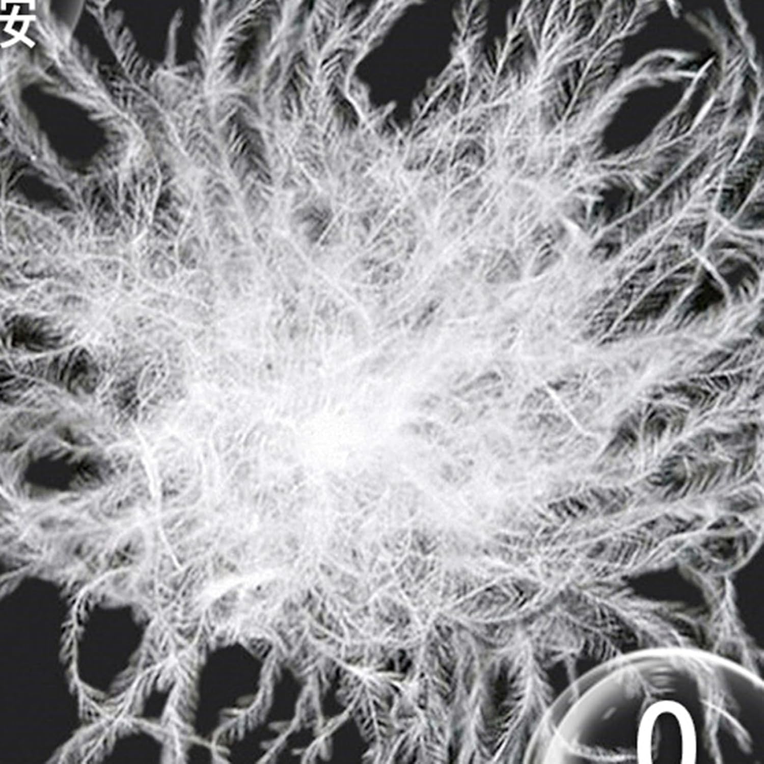 [Taopagii] スノーボードウエア 3~8歳 キッズスキーウェア 2点セット ボリュームファー 欧米風 防水 ダウンジャケット