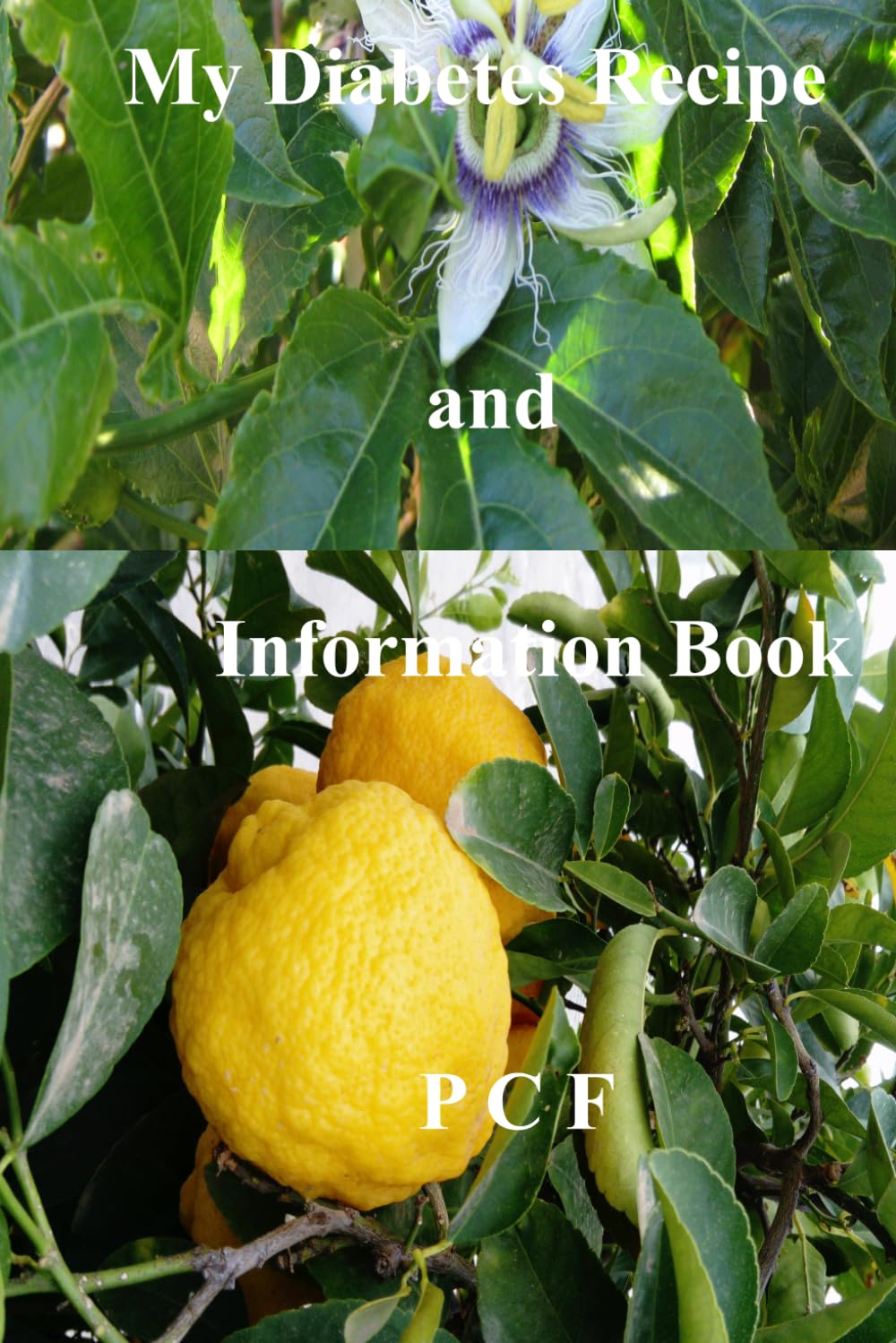 My Diabetes Recipe and Information Book