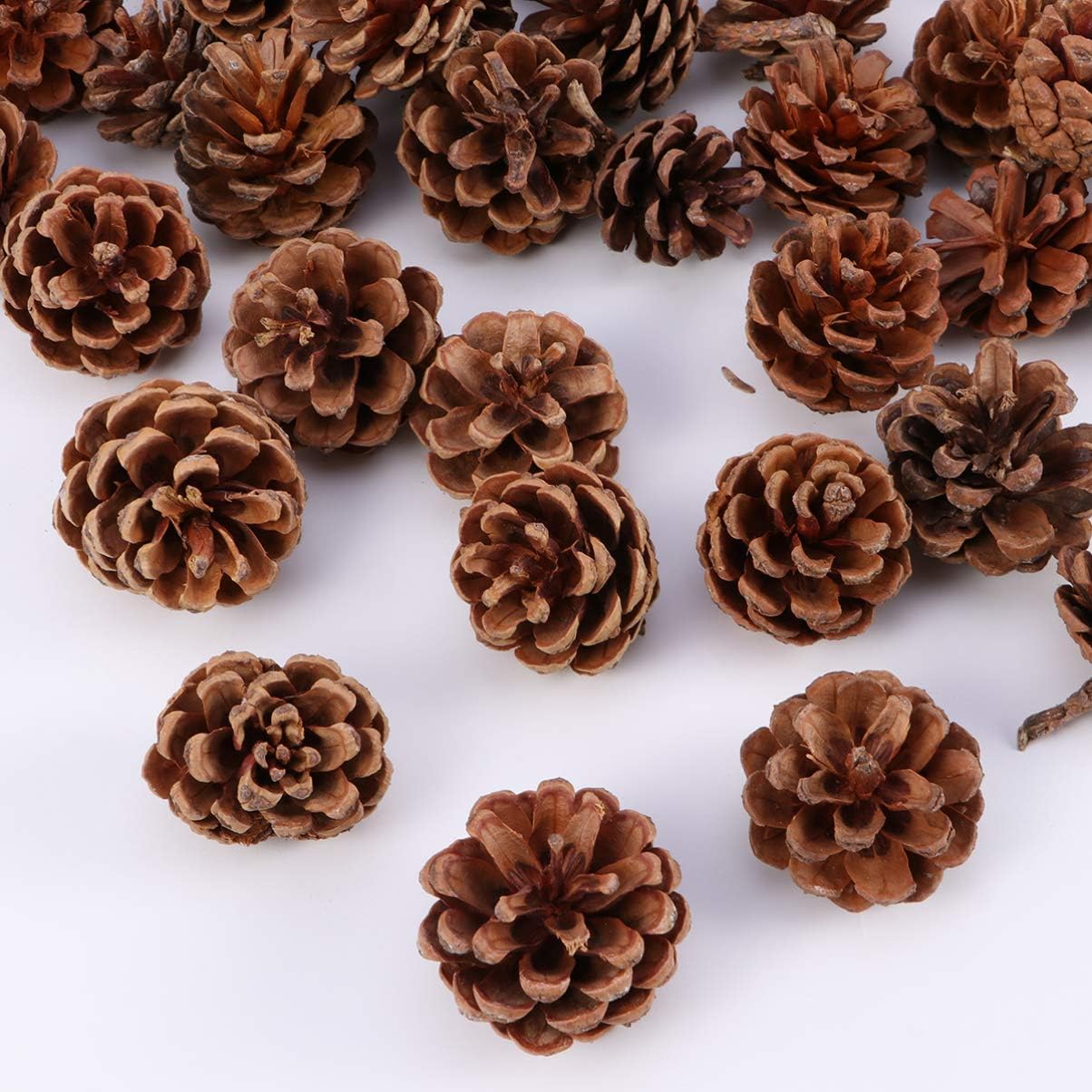 YYZKYTO Artificial Pine Cones 48pcs Christmas Natural Pine Cones Christmas Tree Pinecone Rustic Pinecones Vase Filler for Xmas Fall Autumn Winter Holiday Thanksgiving Harvest Wedding Commemoration Day