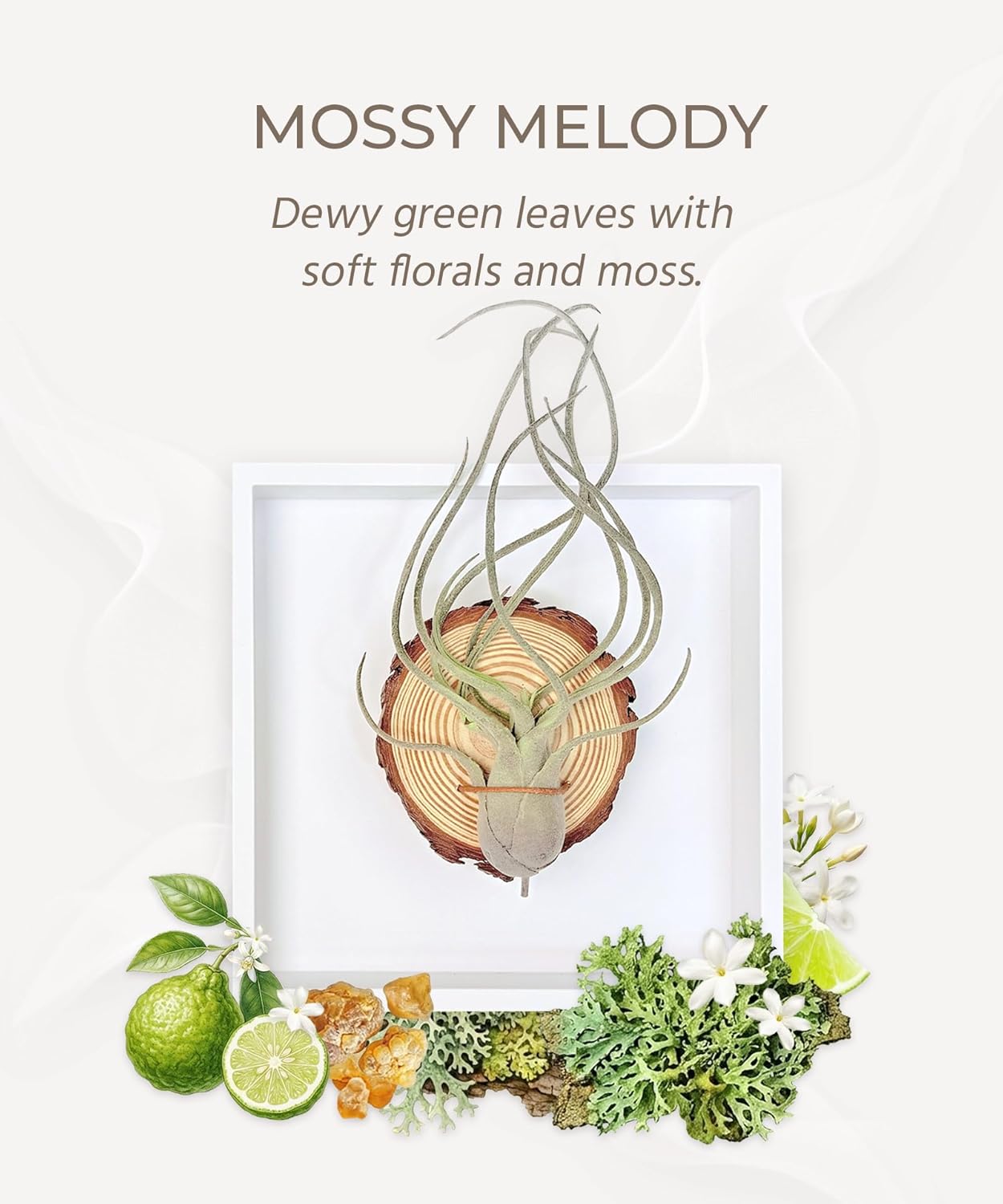 arscent, Bathroom Wall Art, 3D Framed Botanical Wall Decor with Air Plant & Pre-scented Stone, Artificial Succulent Wall Hanging for Small Space, Entryway Bedroom, Mossy Melody, Caput-Medusae