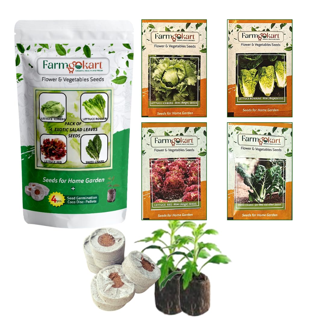 Farmgokart Combo Pack Of 4 Exotic Salad Leaves Seeds | LETTUCE ICEBERG, LETTUCE ROMAIN, LETTUCE RED & SWISS CHARD | For Terrace And Home Gardening | With 4 Coco Disc - (VC-14) (B09PJGVC5Z) Amazon Price History, Amazon Price Tracker
