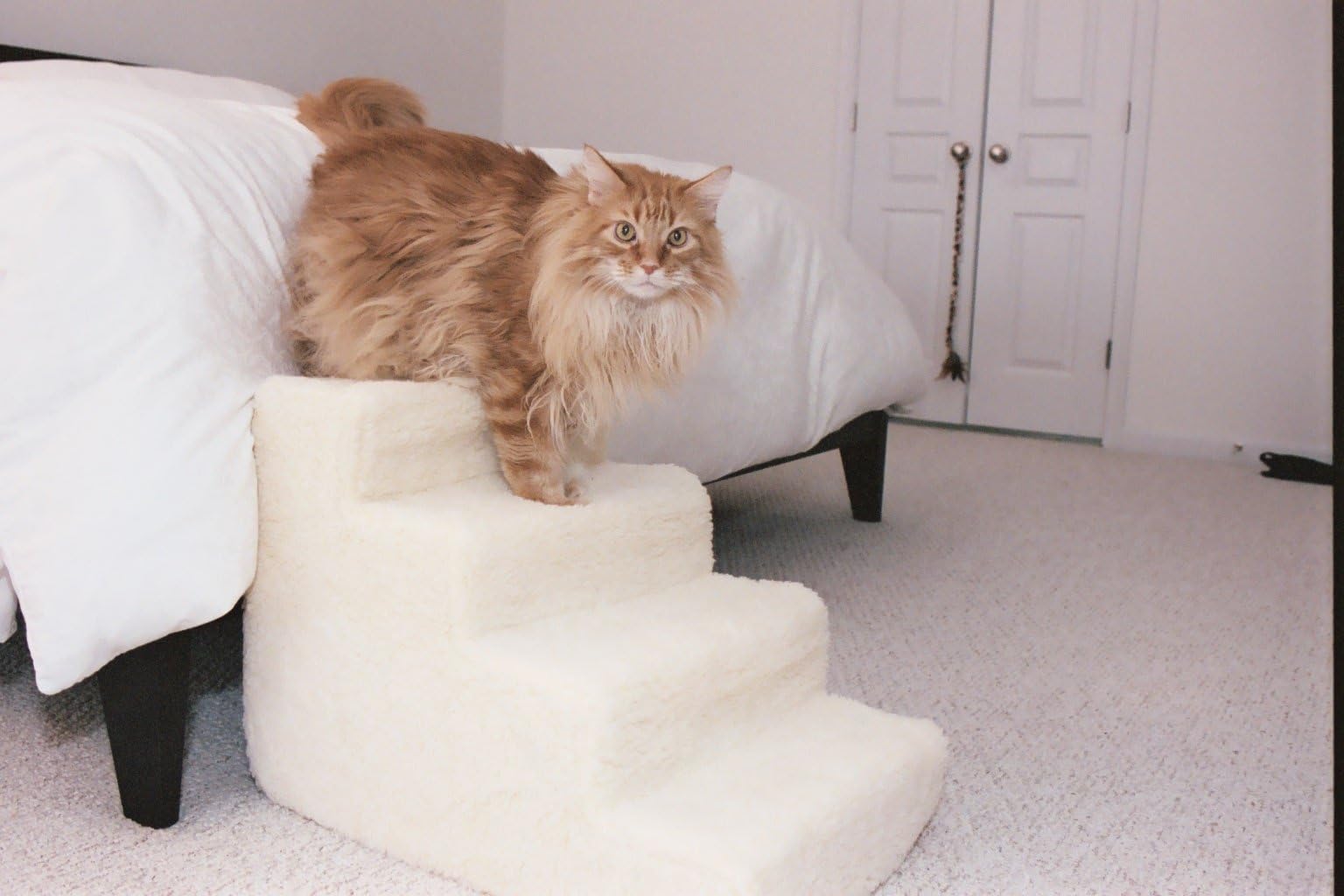 Pet Stairs Petstairz 4 Step High Density Foam Pet Step and Pet Stair with Beige Removable and Washable High Curly Pile Shearling Cover for Pets up to 40 Lbs. Please Take Into Consideration Your Pets Health, Agility. Gate Stability, Paw Length and weight prior to Ordering. Please Call Us with Any Questions or Concerns Prior to Ordering for proper guidance and Remember to Measure Your Placement Area Carefully!