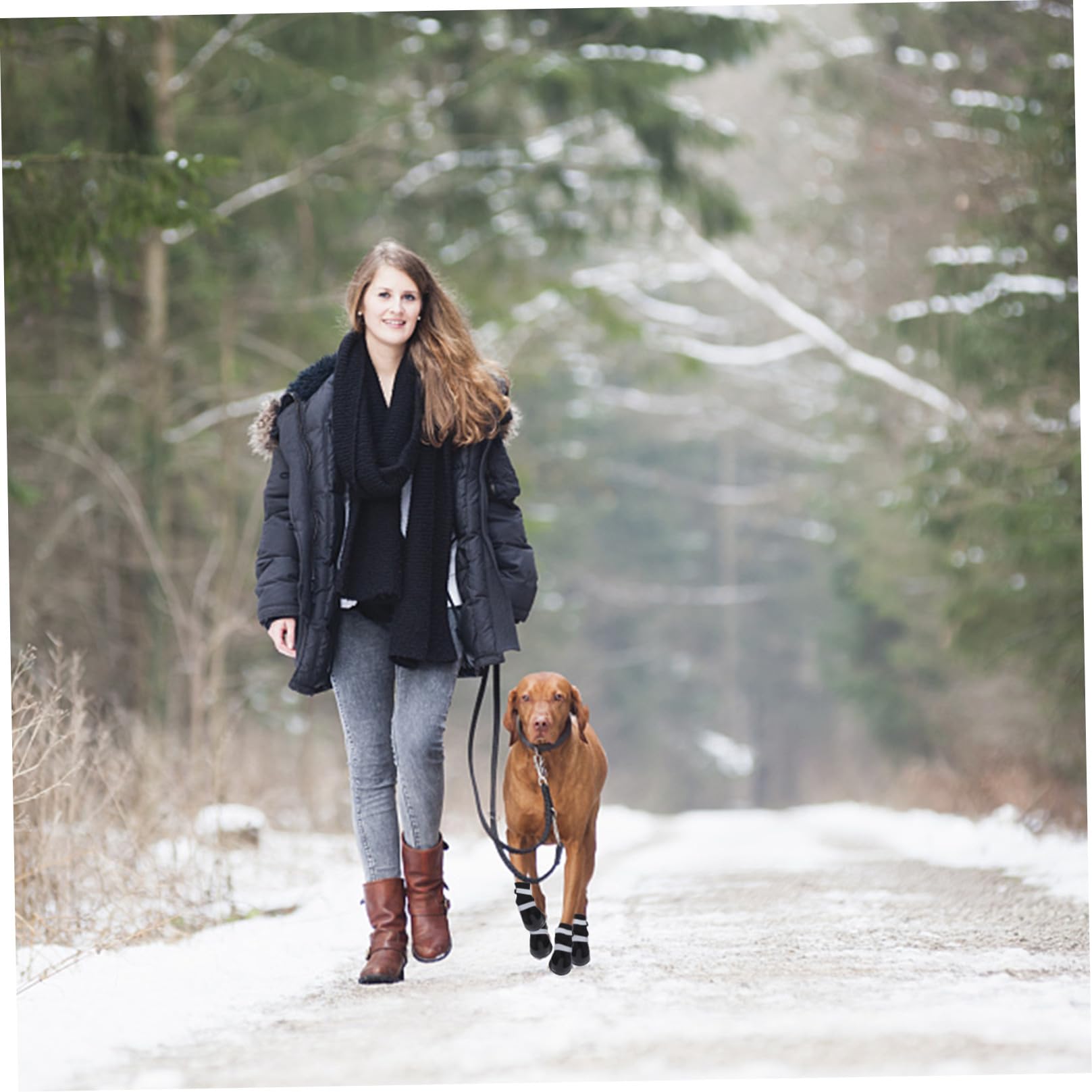 Mipcase 12 Pièces Bottes pour Chien de Compagnie Chien de contrôle de Traction Chaussettes Chaussures pour s de Compagnie Bottes Chaudes pour Chaussures d'hiver pour Black