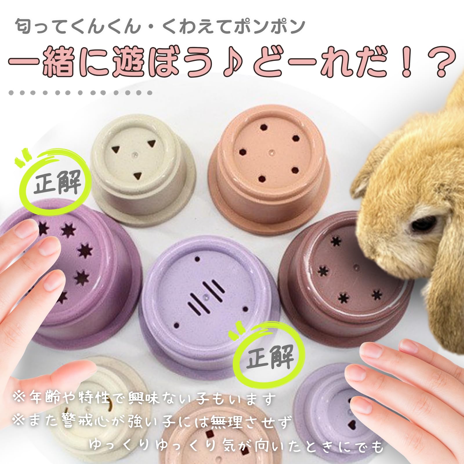 Amazon.co.jp: Mollemii うさぎ おもちゃ スタッキングカップ 遊び 