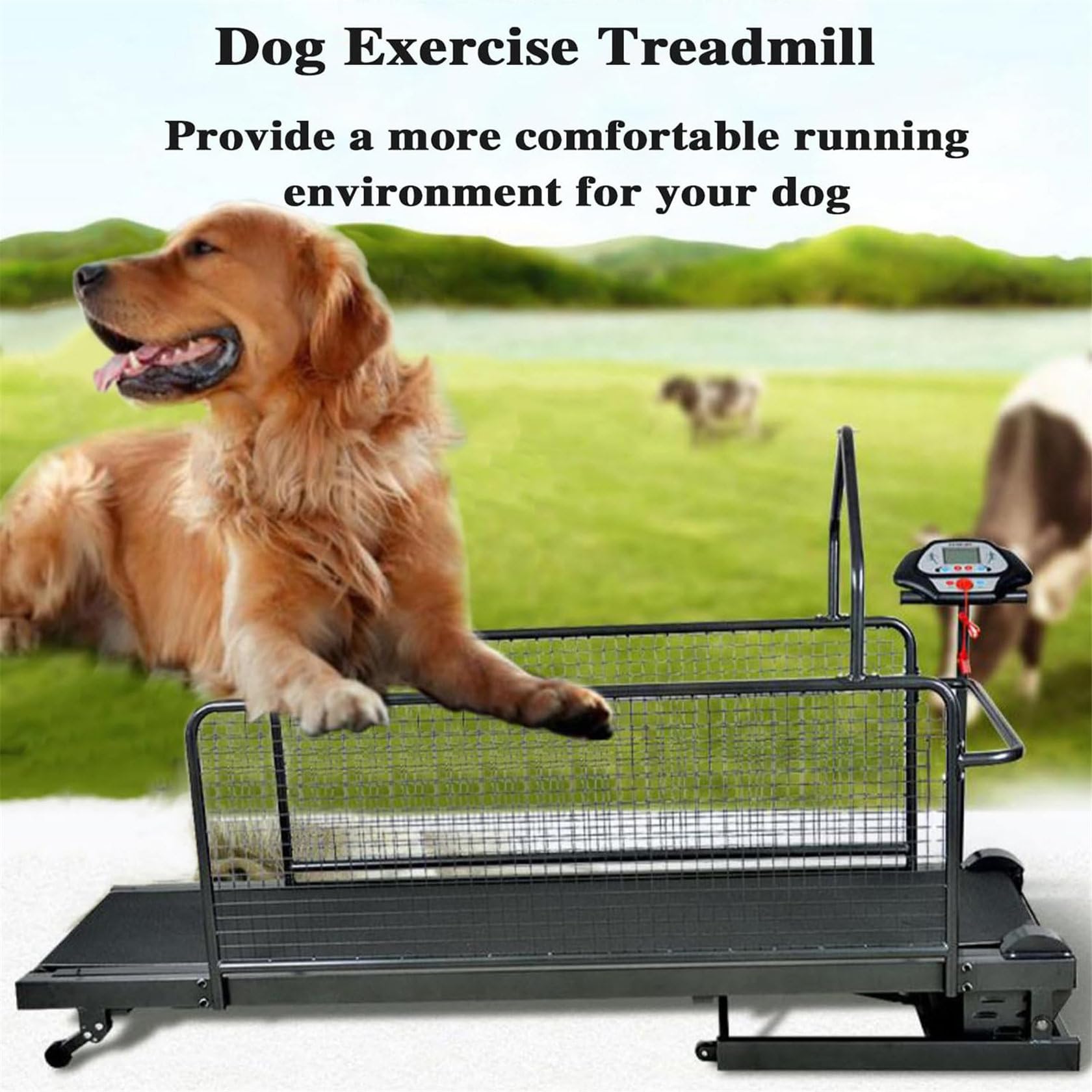 Hundelaufband, HundelaufgeräT, Hundelaufband FüR MittelgroßE/GroßE Hunde, Geschwindigkeit 0,8–12 Km/H, Mit Display, FüR Gesunde Und Fitte Haustiere, Bis Zu 220 Pfund, Anzeige Von Geschwindigkeit