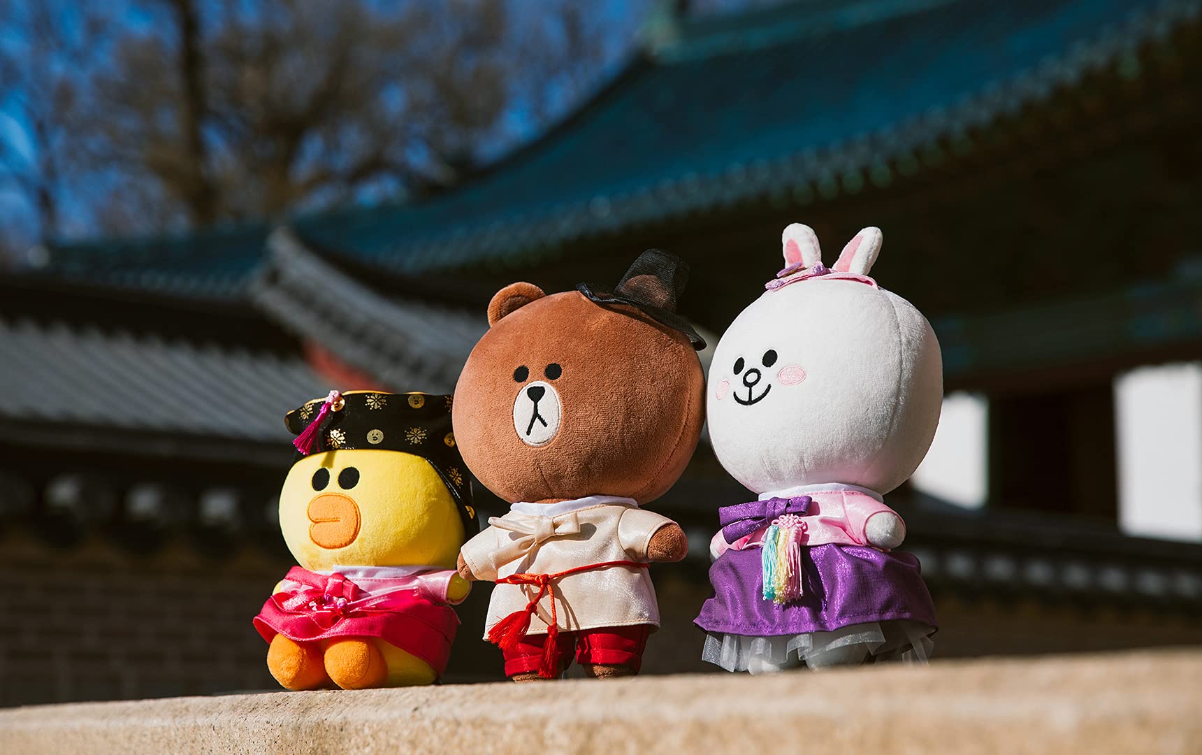 Amazon.co.jp: Line Friends ブラウン 韓国伝統韓服版 ぬいぐるみ 11