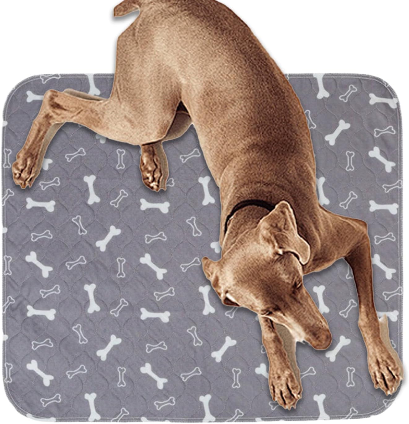 Tappetini per addestramento cuccioli, tappetini lavabili per cani, tappetino di protezione per l’assorbimento, strumento da viaggio per interni ed esterni, penne da campeggio invernali senior