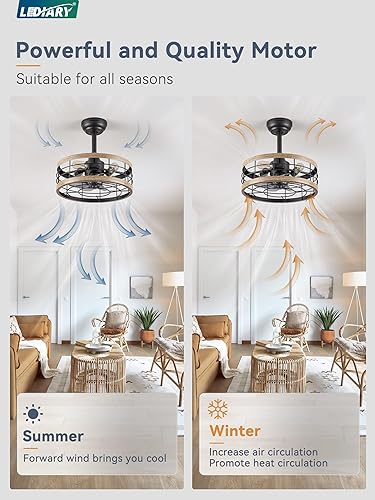 Miniatura 3 de LEDIARY Ventilador de techo enjaulado de 16.5 pulgadas con luz, ventilador de techo industrial Fandelier con control remoto, luminarias de techo de