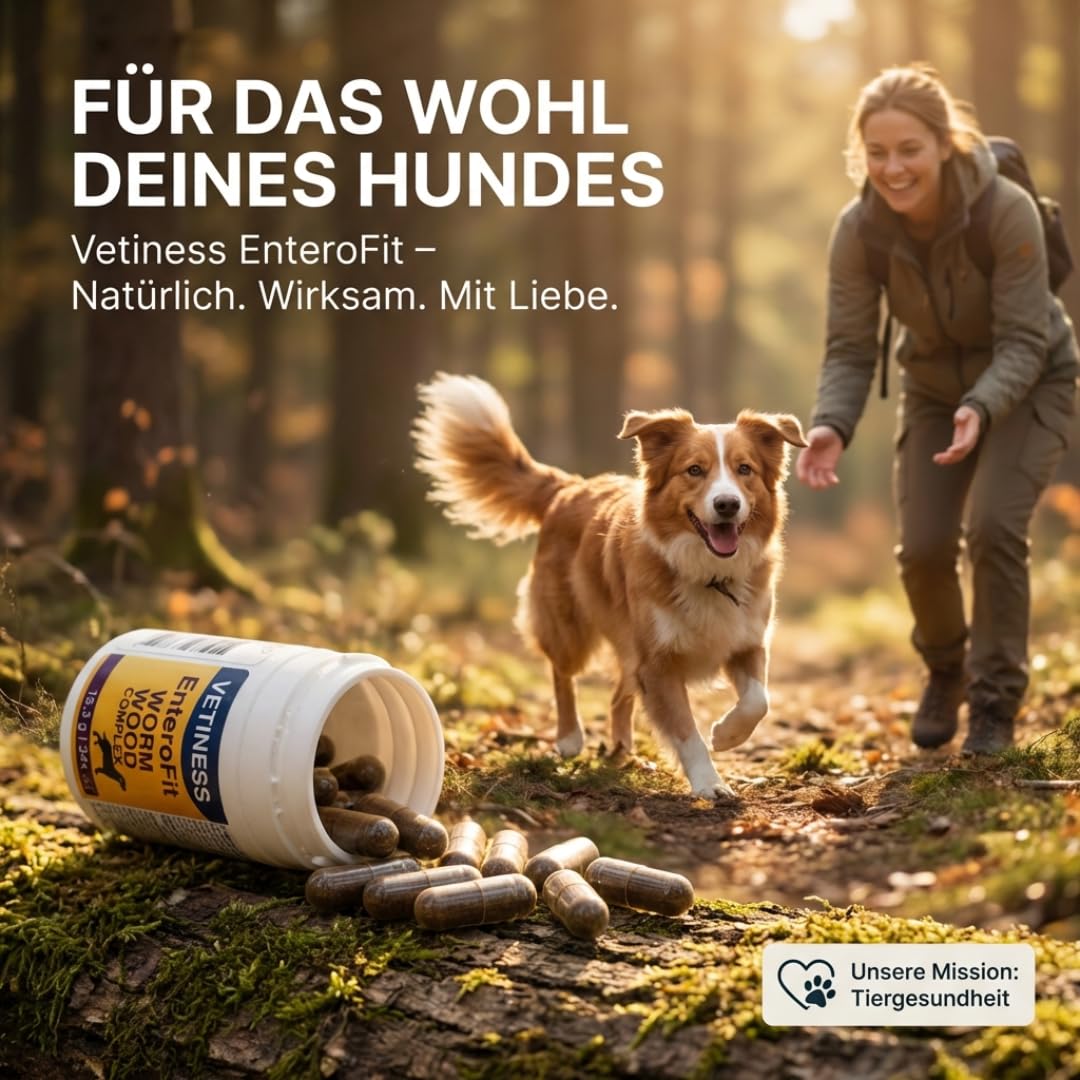 EnteroFit - Complejo de gusanos para perros – antigusanos secundarios – 34 cápsulas de ajenjo – alimento complementario para un ambiente intestinal antigusano – segrega las pastillas para