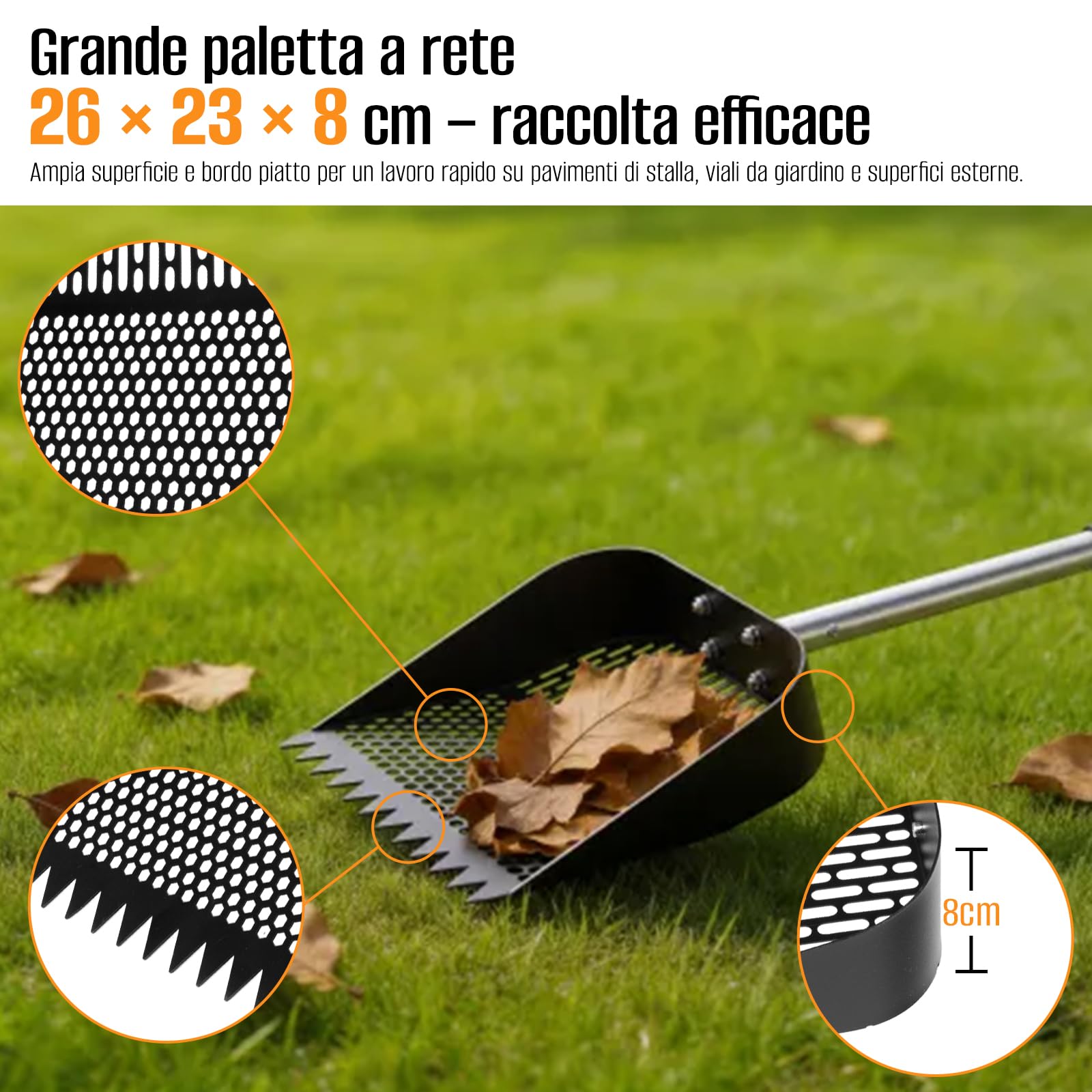 Pala lunga per pollo, multifunzione, per pollaio, separazione di feci e detriti di sabbia, pala per pollaio, per pollaio (172 cm)