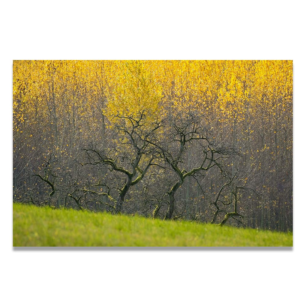 VHdfgTY Look DifferentMinimalist Mountain Landscape Wall Art Canvas Nature Print Modern Decor 30x45cm Unframed