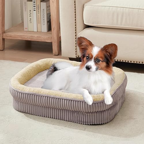 Miniatura 8 de Cama ortopédica para perros para cachorros, razas de perros extra pequeñas, cama ovalada para gatos, sofá cama de espuma para huevos de alta