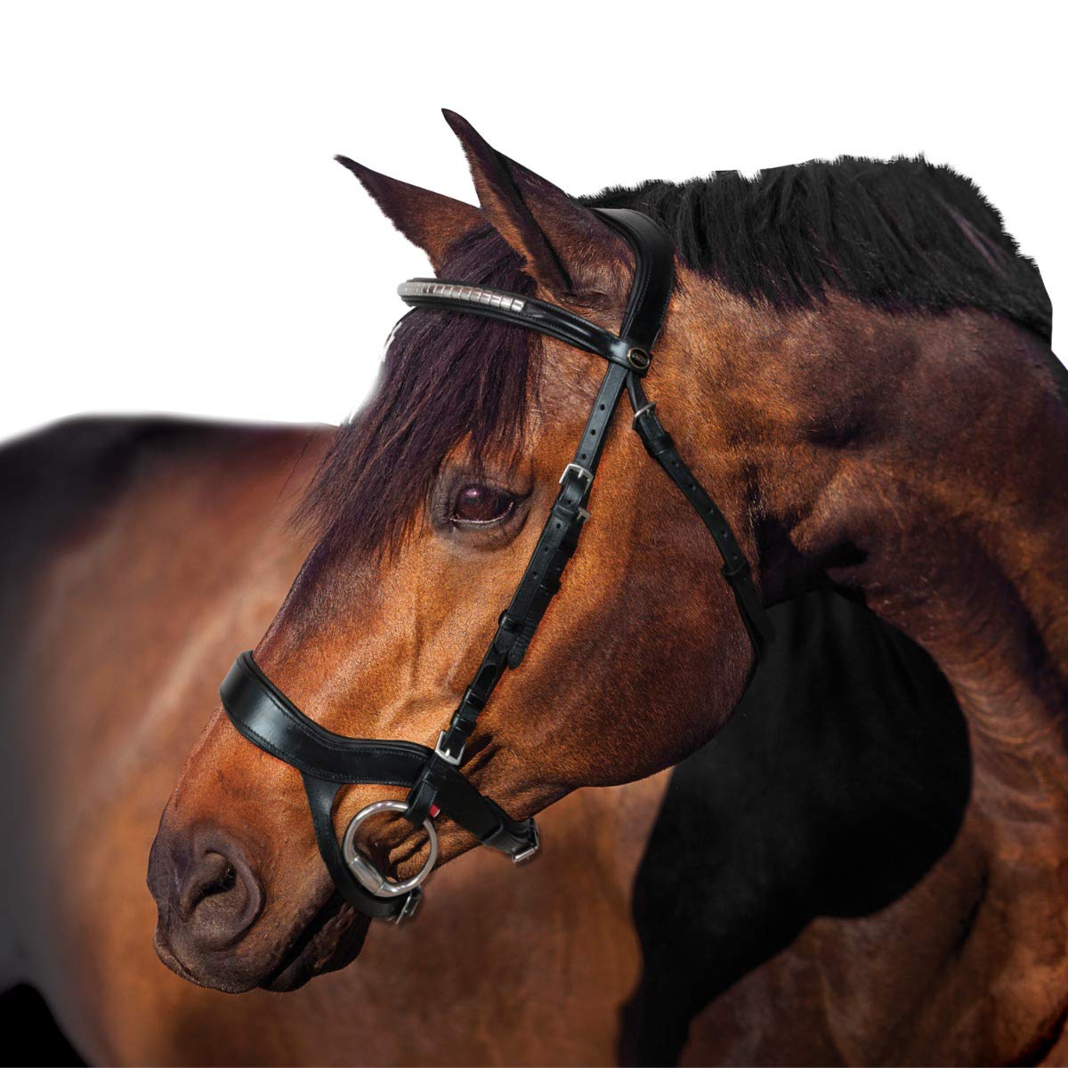 Horses, Briglia Anatomica Modello Tasting PRO, in Cuoio con Sopratesta Imbottito e Forma Anatomica, Ideale per Cavalli Giovani o Sensibili