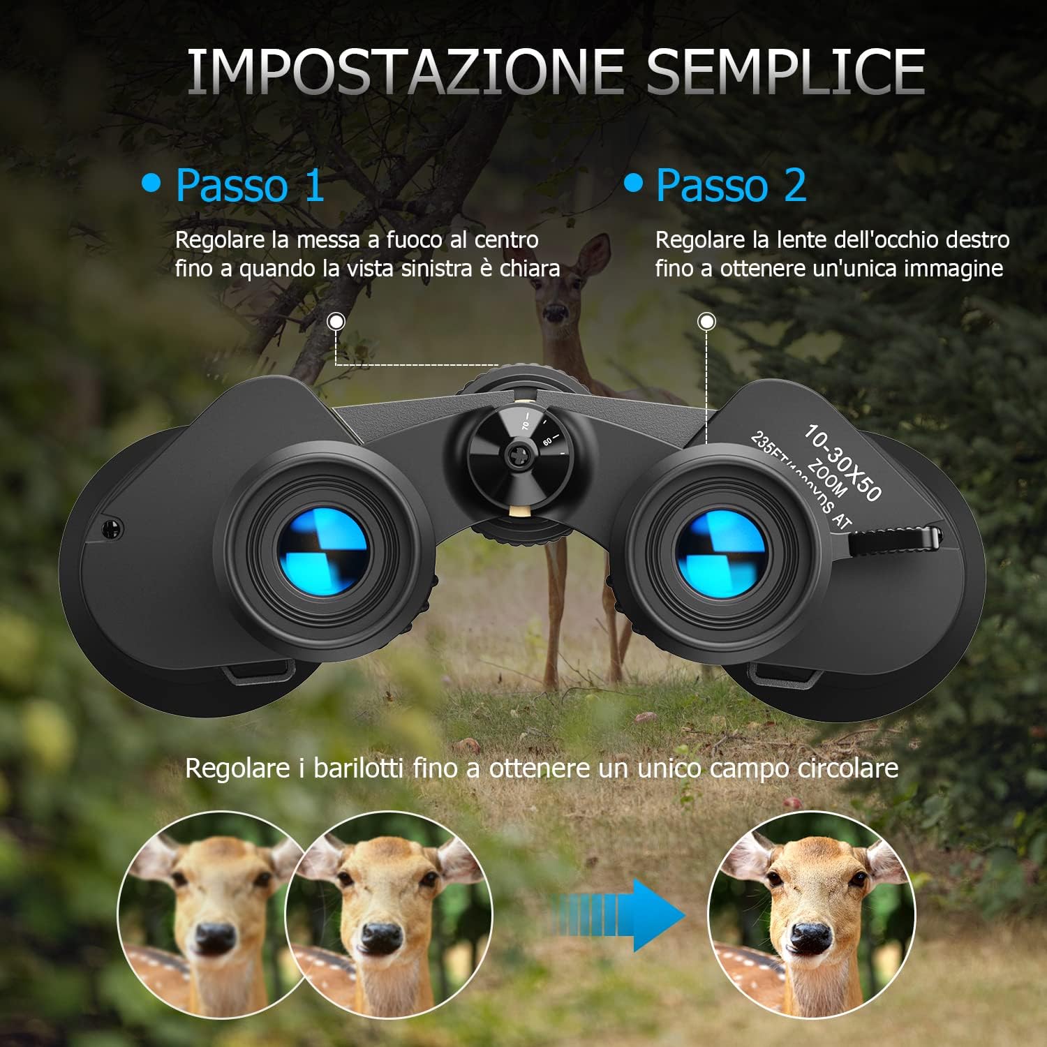Immagine 5