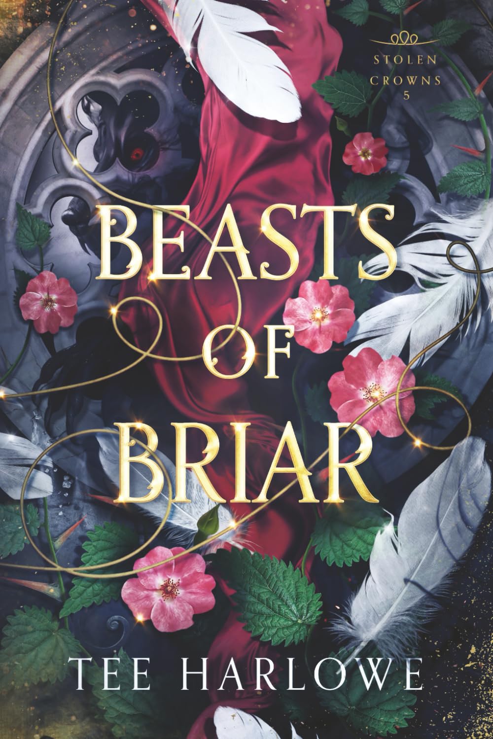 Beasts of Briar: A Steamy Fantasy Romance (Stolen Crowns)
