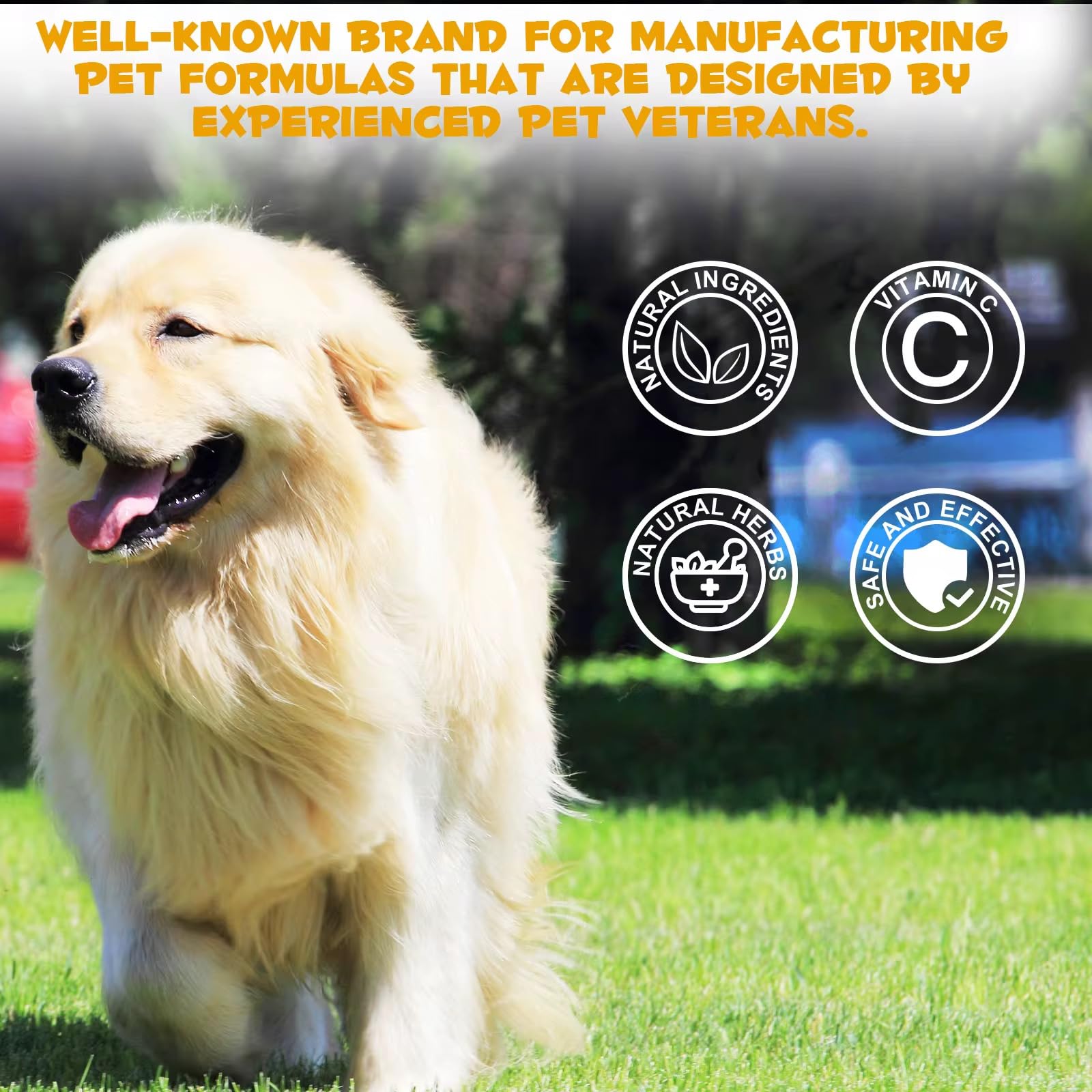CARO Organics Allergy & Immune for dogs Itchy Skin Relief Anti Inflammatory Supplement, Boost Immunity, Support Healthy Skin - Image 3