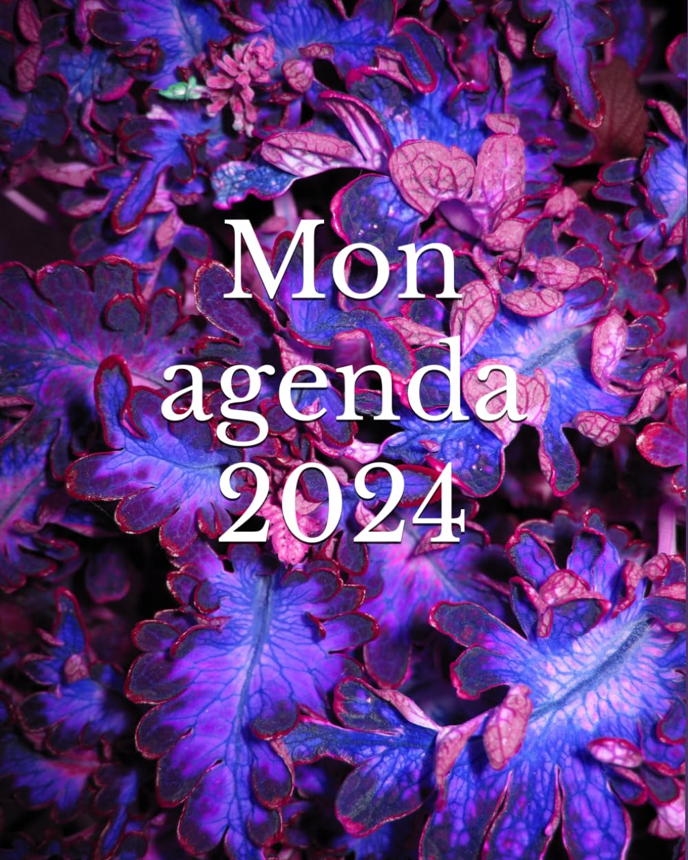 2024: Mon agenda