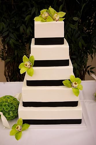 Miniatura 7 de Silverlake - Juego de 5 niveles cuadrados para tartas, bloques de 4 pulgadas de alto x 4,6,8,10 y 12 pulgadas de ancho para proyectos de exhibición