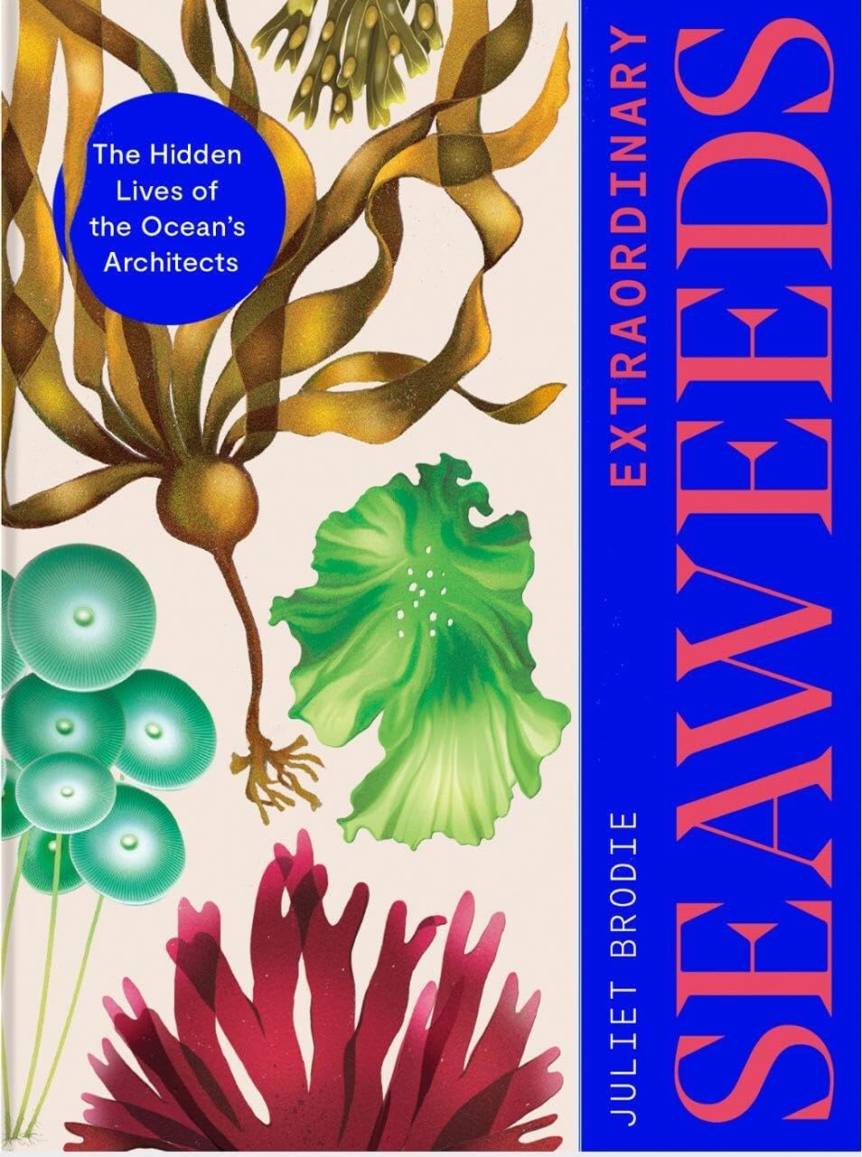 Extraordinary Seaweeds: The hidden lives of the ocean's architects