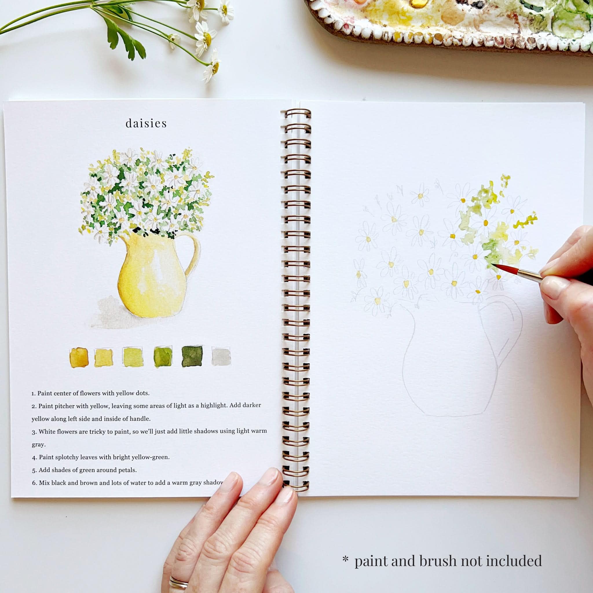 Emily Lex Studio Aquarell-Arbeitsbuch mit Blumen, 12 anfängerfreundliche skizzierte Illustrationen, flache Spiralseiten, 16,5 x 22,9 cm, 54,4 kg Aquarellpapier