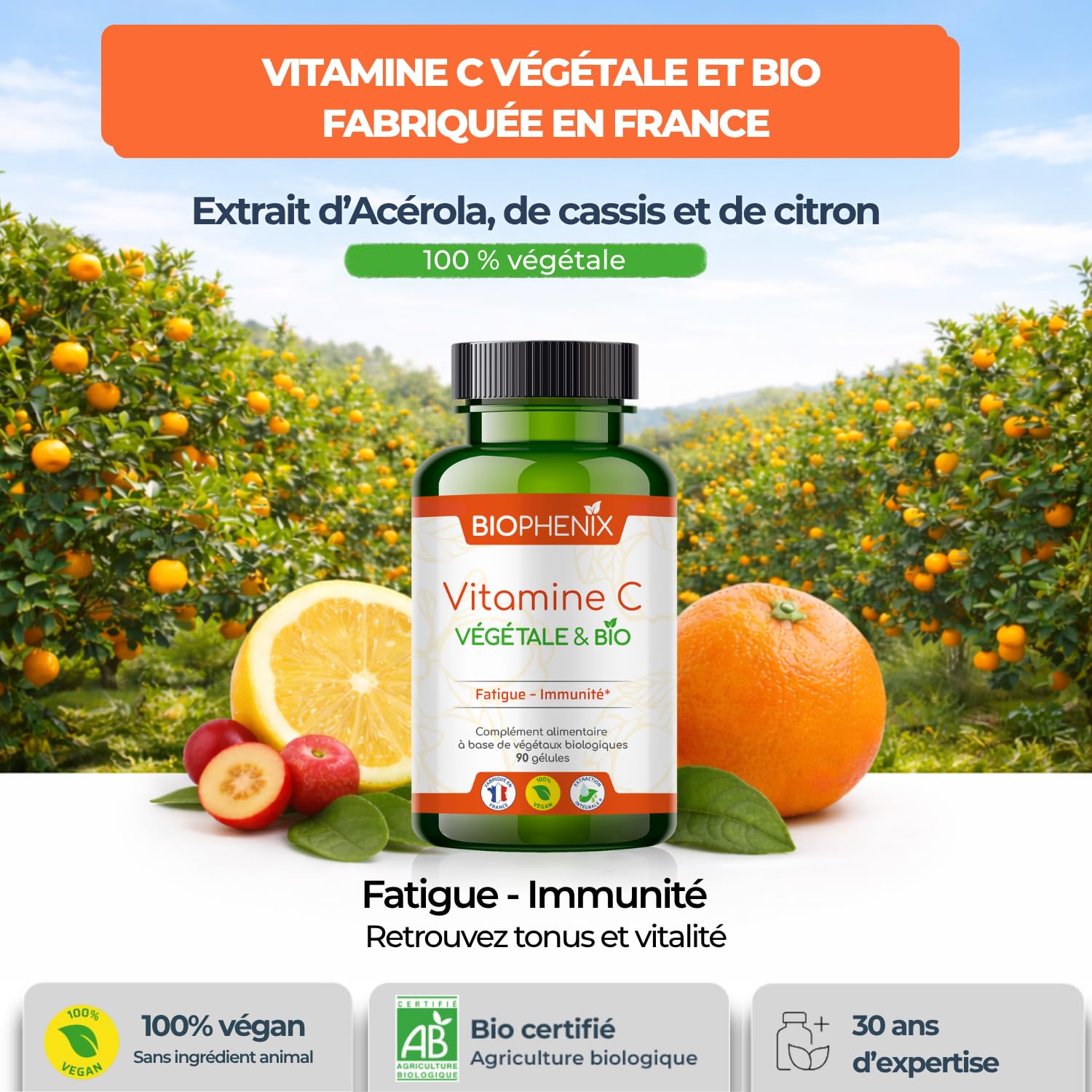 Biophénix Vitamine C Bio 100% Végétale 90 Gélules, Fatigue & Energie | Tonus et Vitalité, Procédé Exclusif Extraction Intégrale, 0% Excipient, 0% Additif, 0% Produit Chimique, Fabriqué en France