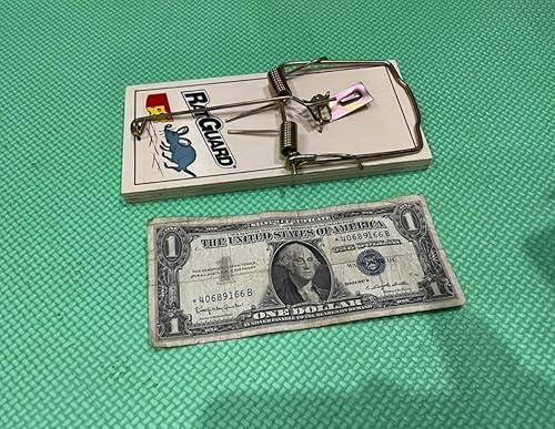 Miniatura 6 de Harrier Hardware Juego de 12 trampas para ratas, mecanismo confiable de doble resorte con base de madera resistente y placa de metal para interiores