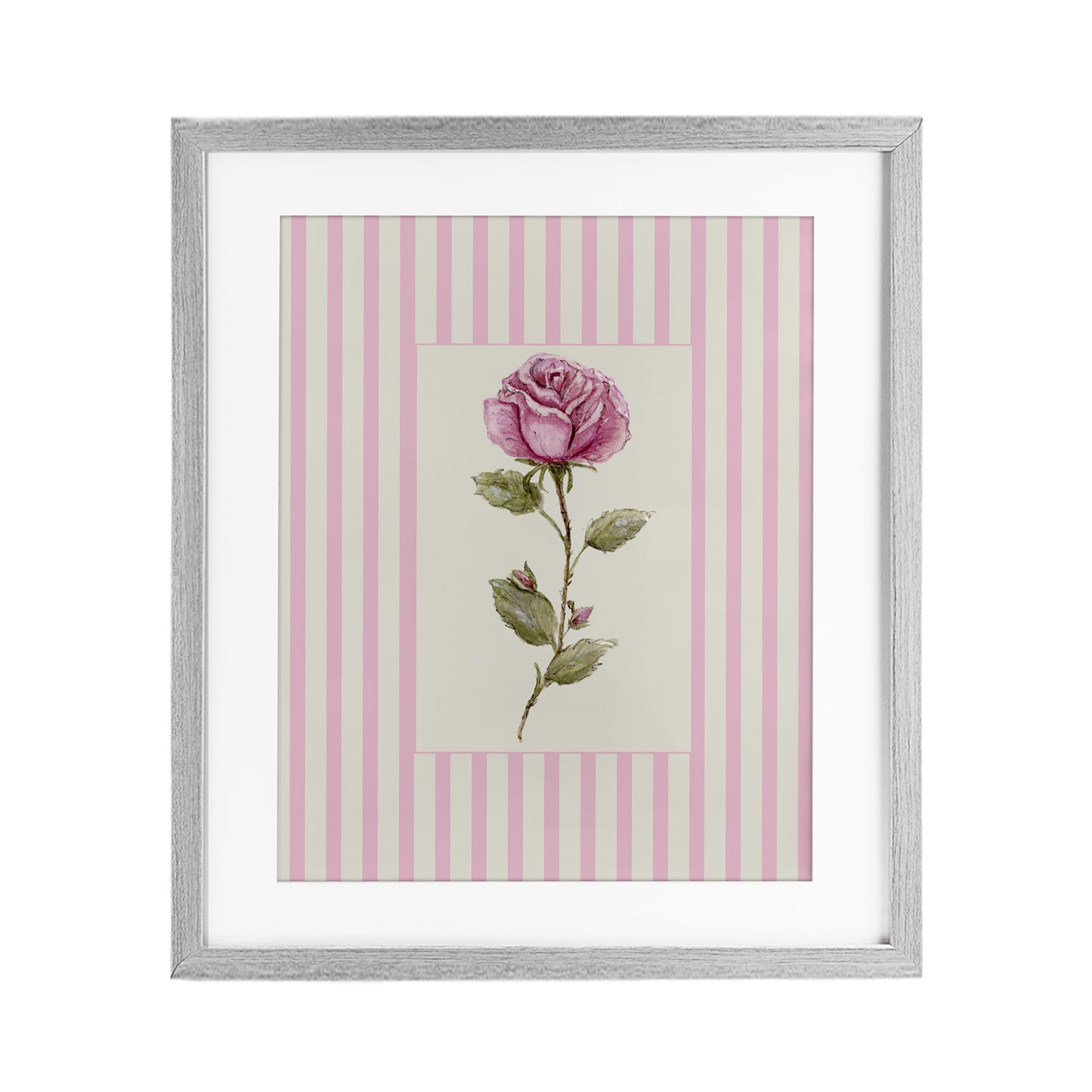 'Pink Stripe Rose'| Framed Print Under Glass