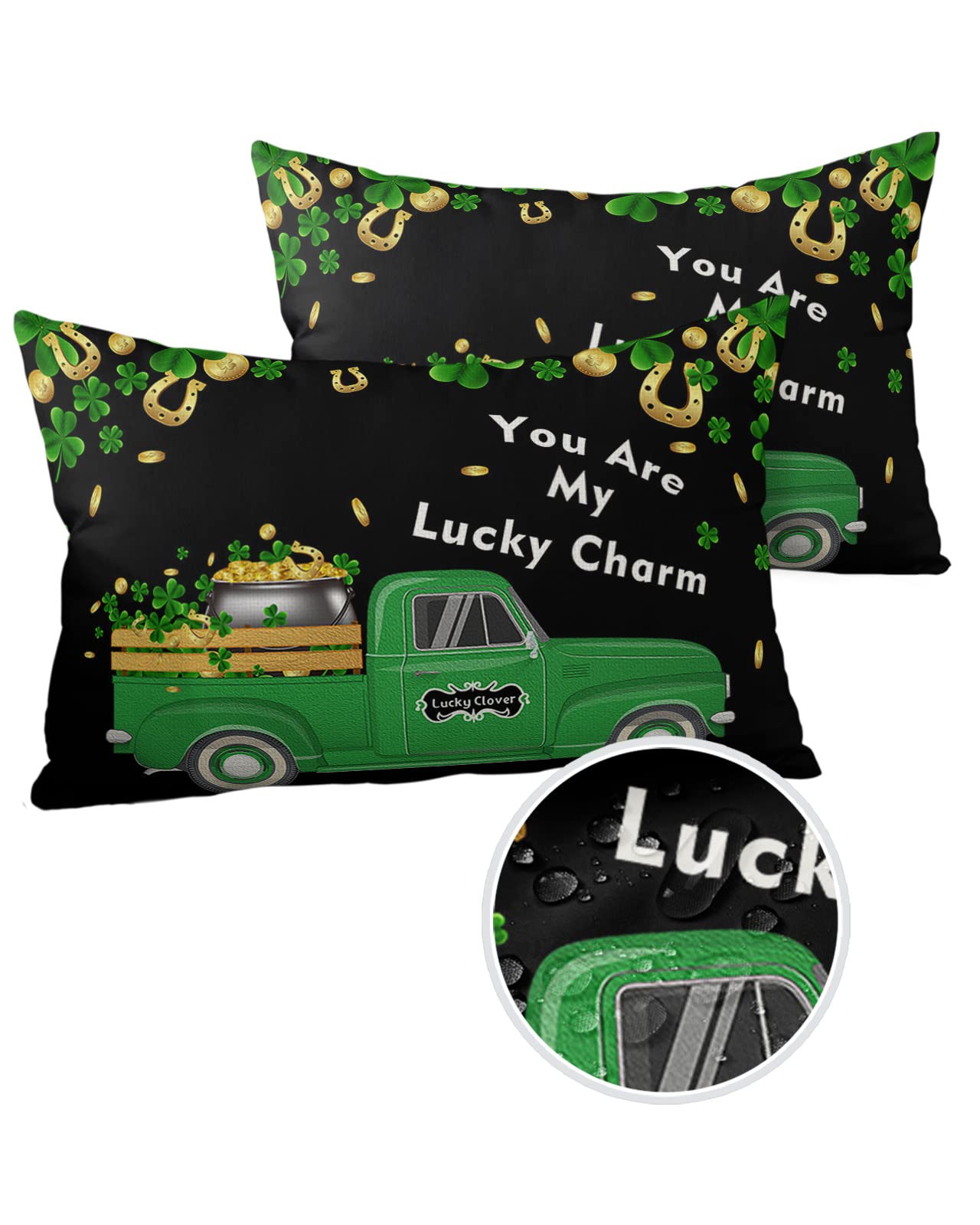 Outdoor Throw Pillow Covers 20x12 Waterproof St.Patrick Day Truck Gold Coins Clover Outdoor Pillows Decorative Pillow Covers Cushion Covers Pillowcase for Tent Patio Garden Couch Set of 2, Green Black