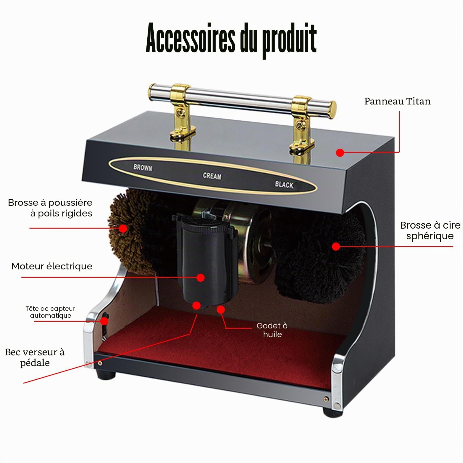 Cireur de chaussures entièrement automatique 60 W - Nettoyeur électrique pour dépoussiérer et polir les chaussures - Brosse à grande vitesse - Respectueux de l'environnement - Pour lieux publics