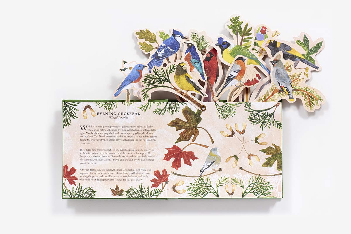 Birds In A Book. A Bouquet In A Book: Jacket Comes Off. Branches Pop Up. Display Like a Bouquet!