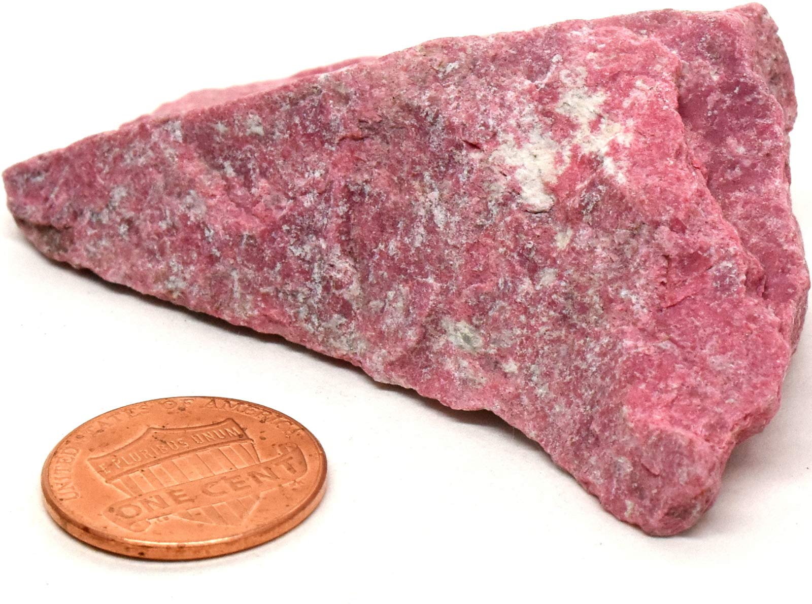 Amazon.com: 300ct 2.5