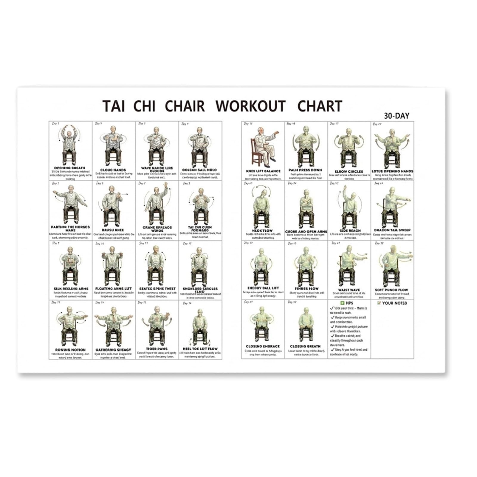 SrgPui Fabric Tai Chi Chair Workout Poster for Seniors, 17.72×11.81inch