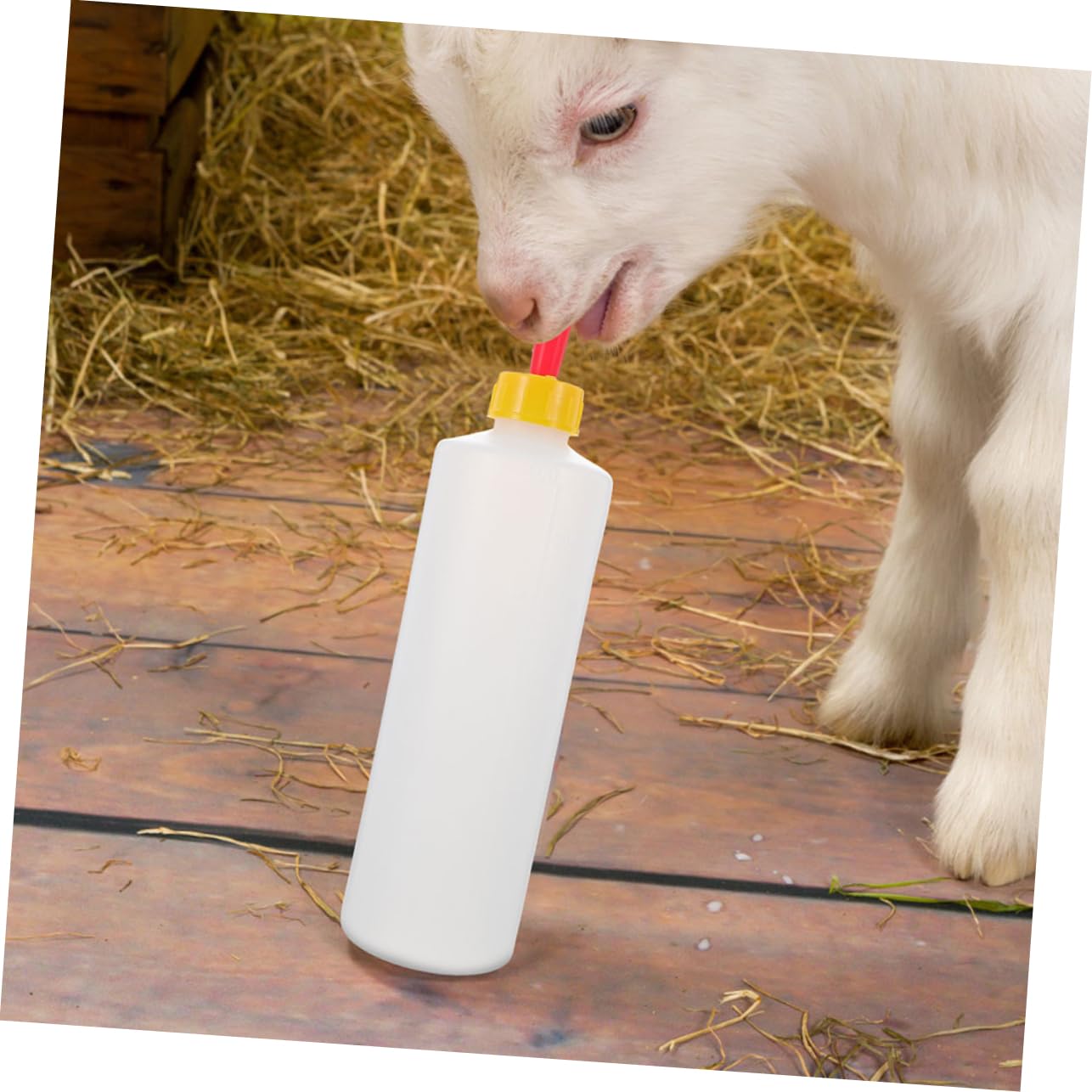 Biberon per Agnelli e Capre 400ml in Pvc, Set 1 con Tettarelle | Anti Perdita, Design del Succhietto Unico, Ricambi Inclusi, Uso in Fattoria e Casa, per Allattamento Animale
