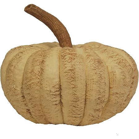 Amazon.com: Hickory Manor House Long Stem Pumpkin for Home Decor, Sage ...